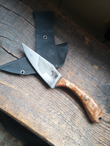 EDC-Skinner